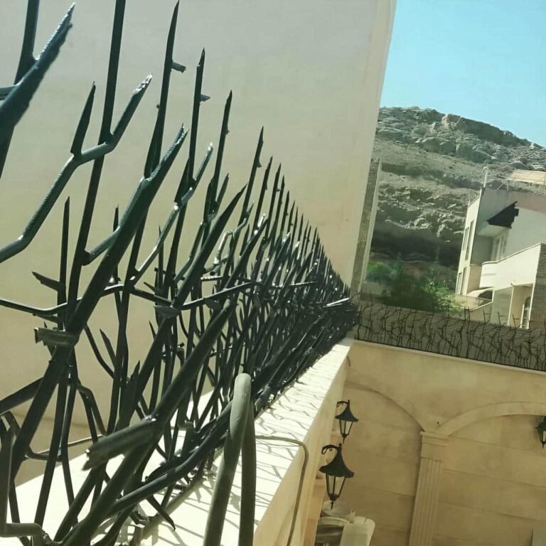 خرید و تولید حفاظ شاخ گوزنی در ساری