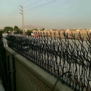 حفاظ بوته ای تراکم 67 در ساری
