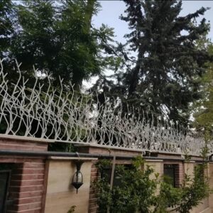 حفاظ شاخ گوزنی تراکم 31 در ساری