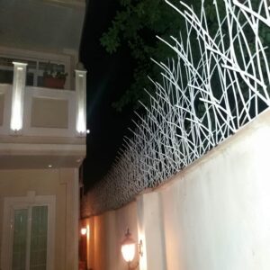 حفاظ نیزار در ساری