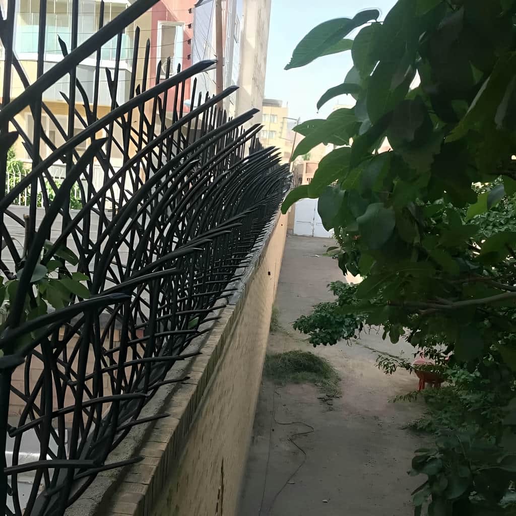 ساخت حفاظ نیزار سفارشی برای دیوار باغ در ساری ساخت حفاظ نیزار سفارشی برای دیوار باغ در ساری