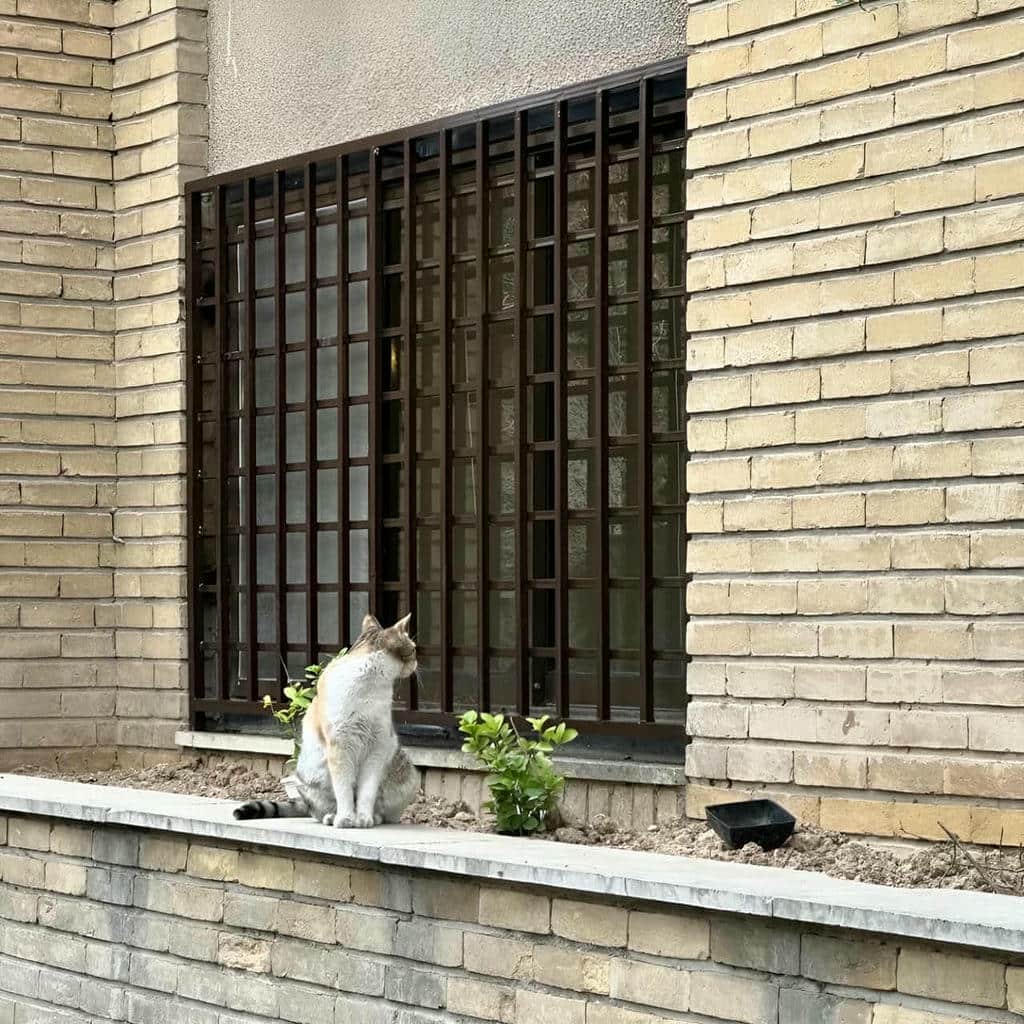 سفارش حفاظ پنجره مدرن شبکه هندسی مستطیلی برای نما در ساری