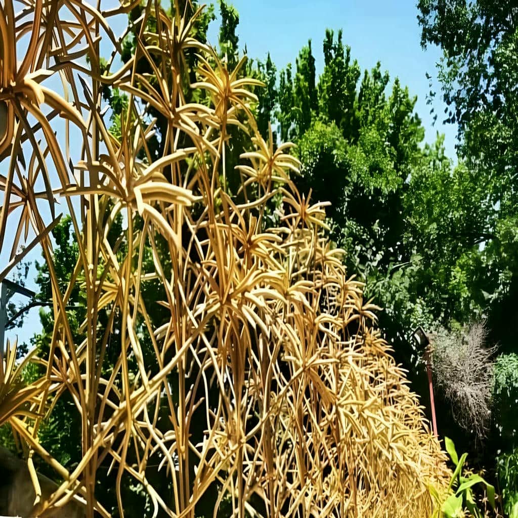 سفارش نرده حفاظ دیوار ساده متناسب با نمای ساختمان در ساری