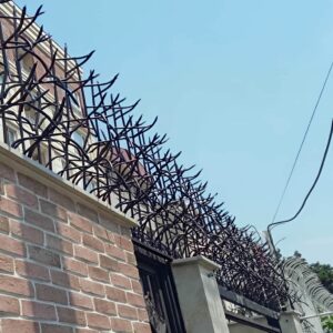 14 مدل حفاظ آبشاری روی دیوار سنگی در ساری