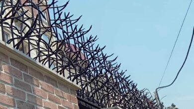 14 مدل حفاظ آبشاری روی دیوار سنگی در ساری