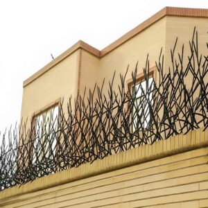 10 طرح حفاظ بوته ای دیوار پرتراکم در ساری