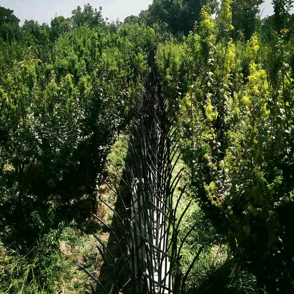 حفاظ روی دیوار ساری نمای ورودی ساختمان