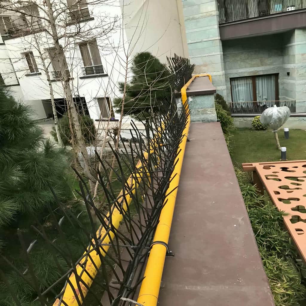 حفاظ دیواری ساری با فرم شاخ گوزنی