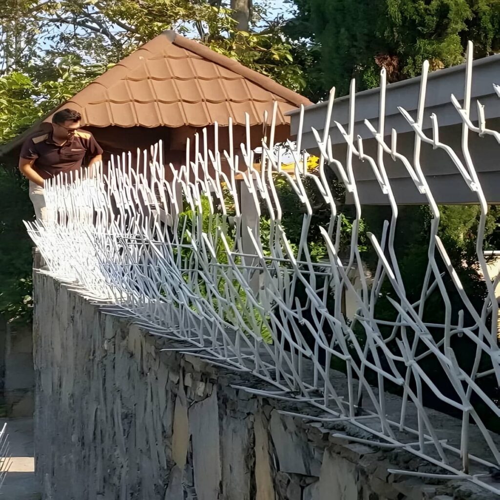 حفاظ دیوار ساری اجرای تخصصی پروژه