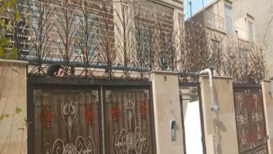 حفاظ شاخ گوزنی ساری دیوار ویلایی