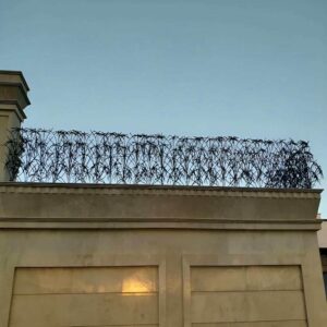 حفاظ نخل مرداب ساری با پوشش مقاوم دیوار