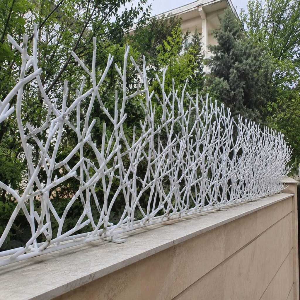 حفاظ لیلیوم ساری در فضای ویلایی حفاظ لیلیوم ساری در فضای ویلایی